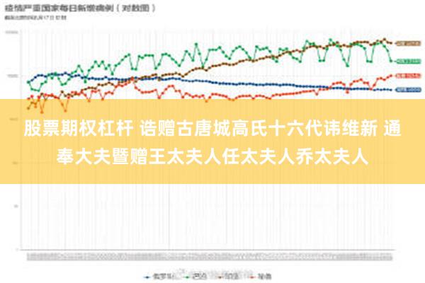 股票期权杠杆 诰赠古唐城高氏十六代讳维新 通奉大夫暨赠王太夫人任太夫人乔太夫人