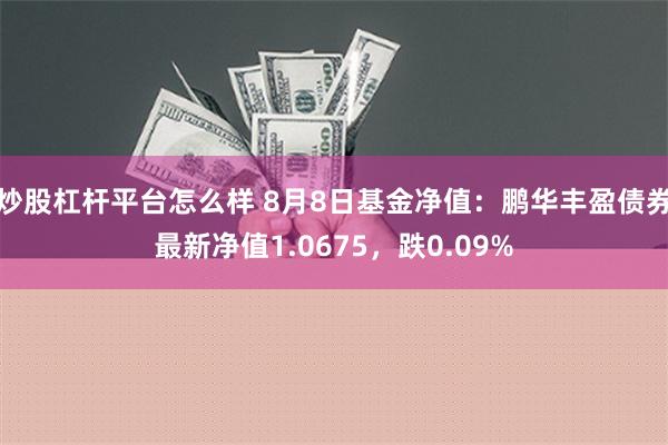 炒股杠杆平台怎么样 8月8日基金净值：鹏华丰盈债券最新净值1.0675，跌0.09%