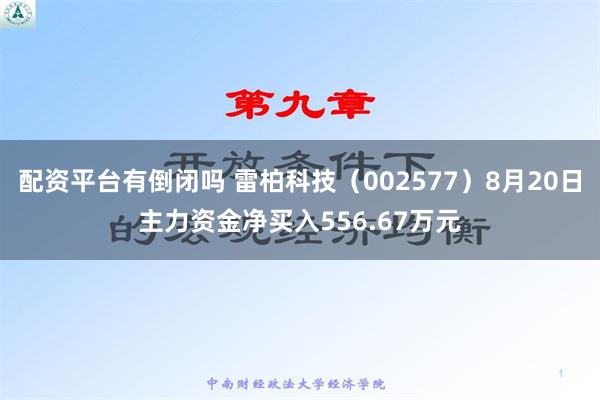 配资平台有倒闭吗 雷柏科技（002577）8月20日主力资金净买入556.67万元