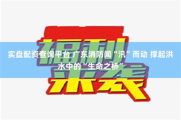 实盘配资查询平台 广东消防闻“汛”而动 撑起洪水中的“生命之桥”