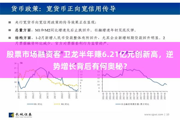 股票市场融资客 卫龙半年赚6.21亿元创新高，逆势增长背后有何奥秘？