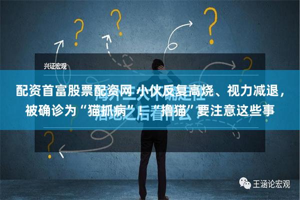 配资首富股票配资网 小伙反复高烧、视力减退，被确诊为“猫抓病”！“撸猫”要注意这些事