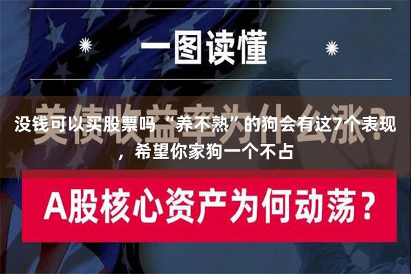 没钱可以买股票吗 “养不熟”的狗会有这7个表现，希望你家狗一个不占