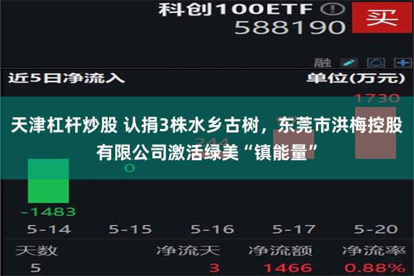 天津杠杆炒股 认捐3株水乡古树，东莞市洪梅控股有限公司激活绿美“镇能量”