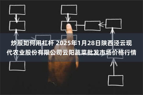 炒股如何用杠杆 2025年1月28日陕西泾云现代农业股份有限公司云阳蔬菜批发市场价格行情