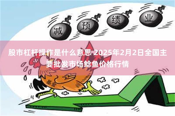 股市杠杆操作是什么意思 2025年2月2日全国主要批发市场鲶鱼价格行情