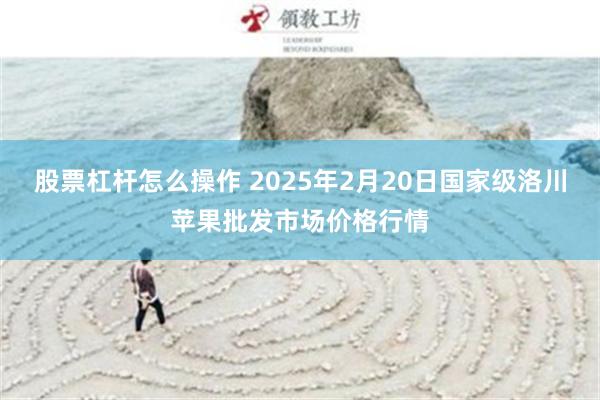 股票杠杆怎么操作 2025年2月20日国家级洛川苹果批发市场价格行情