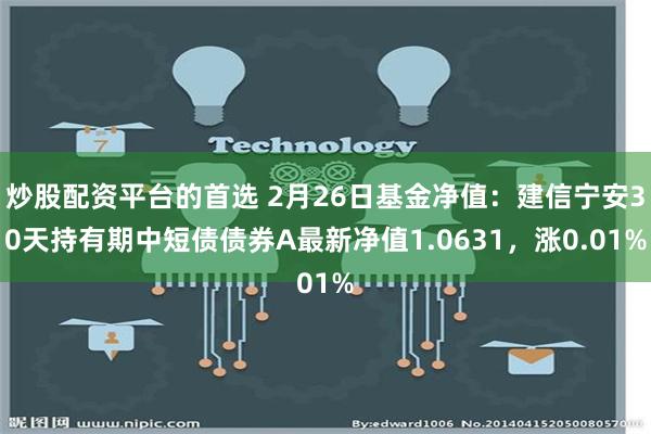 炒股配资平台的首选 2月26日基金净值：建信宁安30天持有期中短债债券A最新净值1.0631，涨0.01%